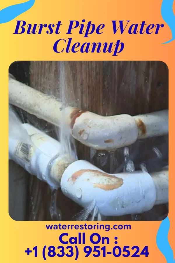 Burst Pipe Water Cleanup in Syracuse, OH
