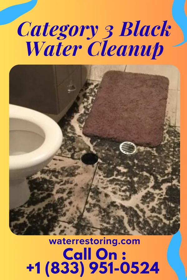 Category 3 Black Water Cleanup in Syracuse, OH